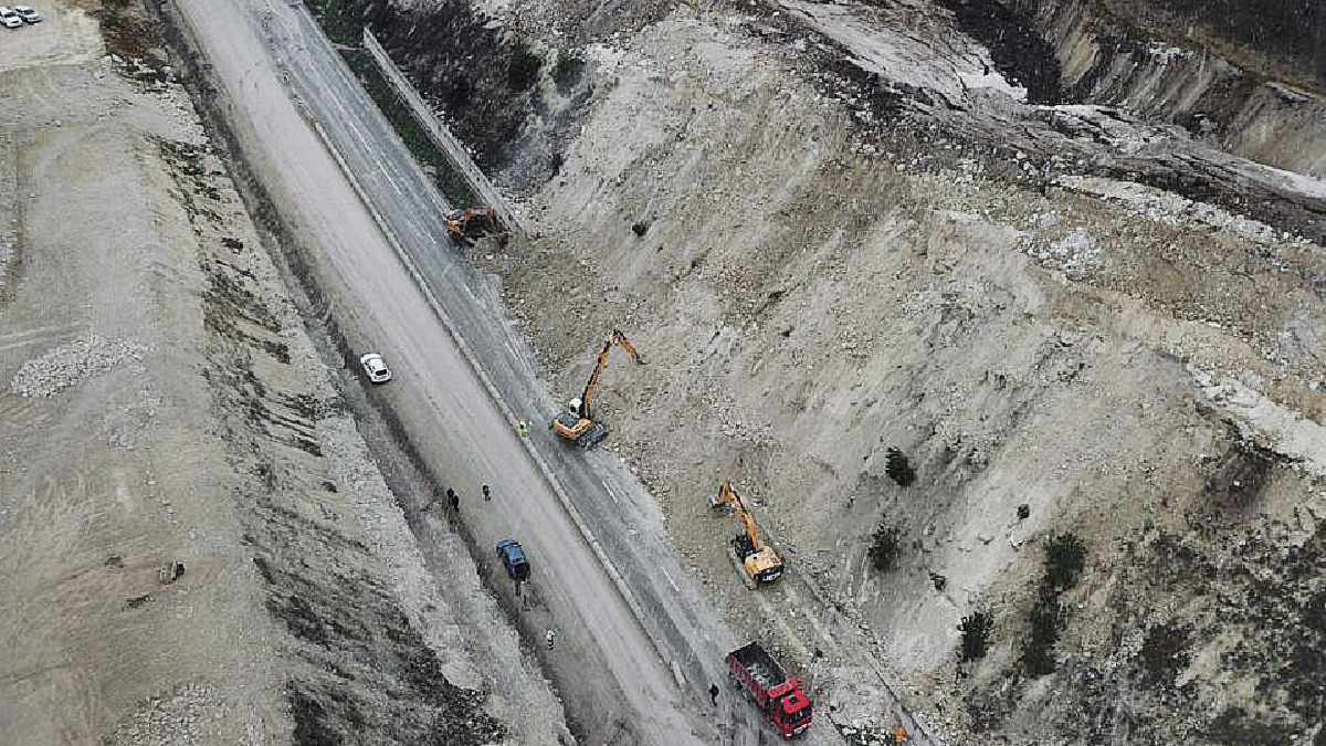 Окупанти вирубають 7,8 тис. червонокнижних дерев в Криму, щоб розчистити ділянку під будівництво траси
