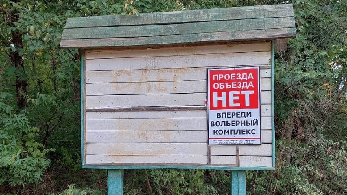 Окупанти в Криму почали розводити диких тварин для відстрілу